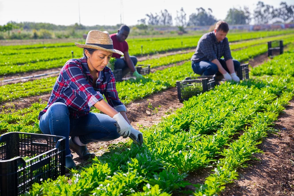 Agricultural and Farm worker in Ireland