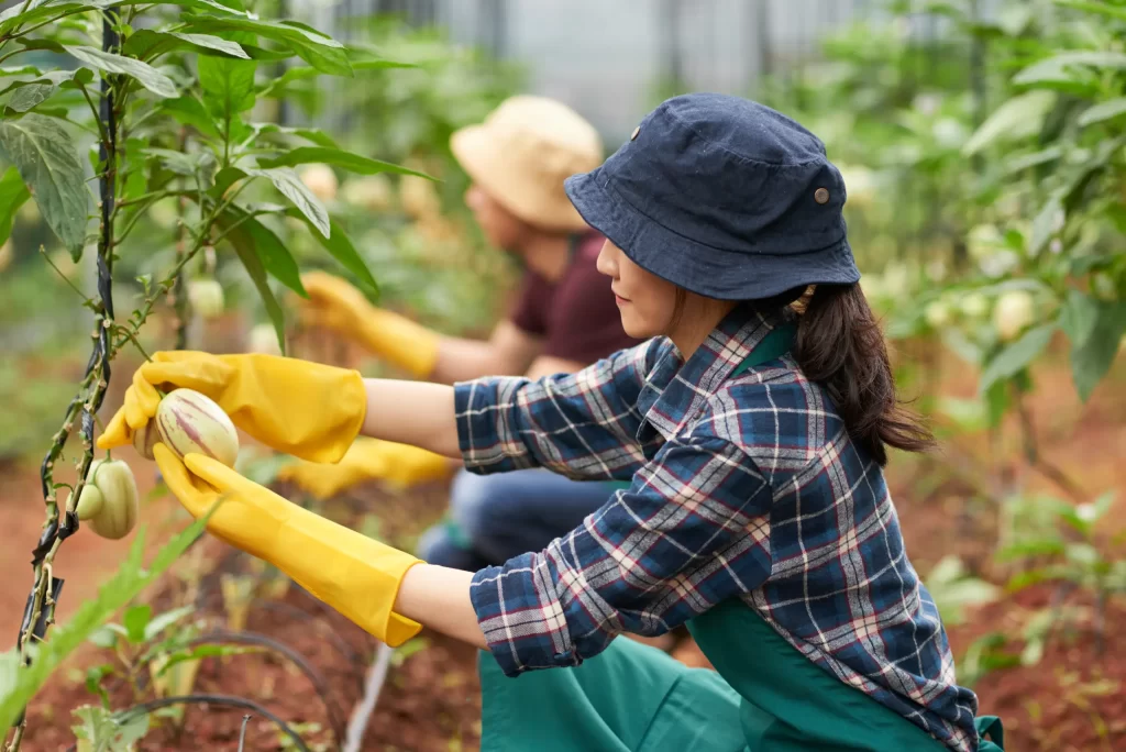 Agricultural and Farm worker in Ireland